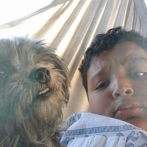 Meet your Posher, Alexander